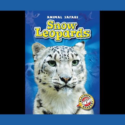 Snow Leopards