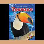 Toucans
