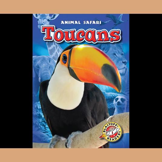 Toucans