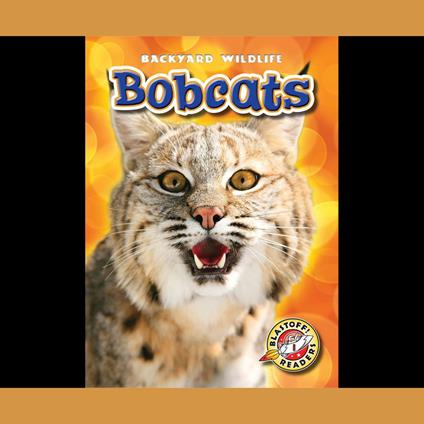 Bobcats