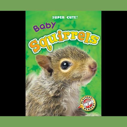 Baby Squirrels