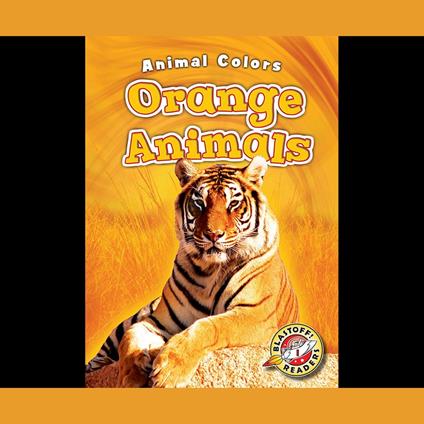 Orange Animals