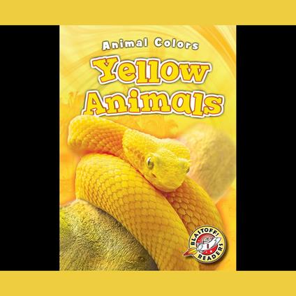 Yellow Animals