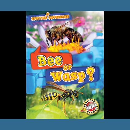 Bee or Wasp?
