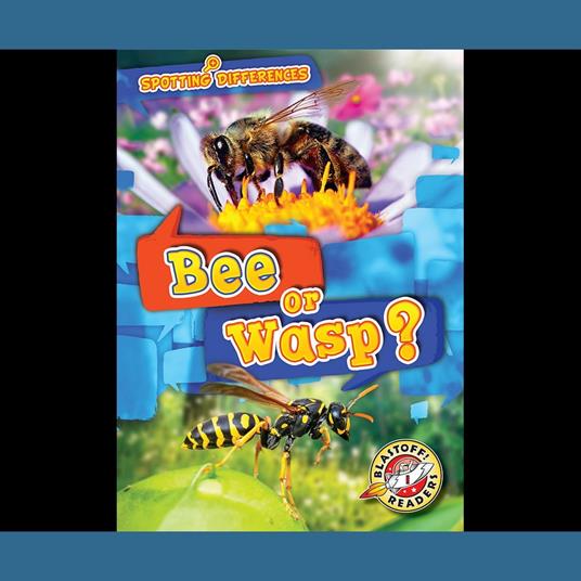 Bee or Wasp?