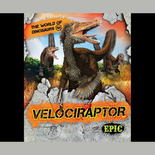 Velociraptor