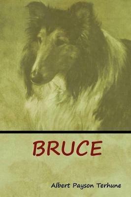Bruce - Albert Payson Terhune - cover
