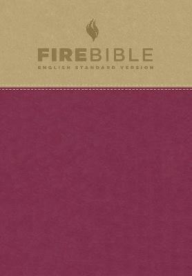 Fire Bible-ESV - Donald Stamps - cover