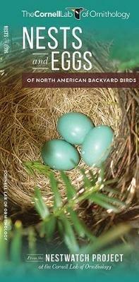 Nests and Eggs of North American Backyard Birds - The Cornell Lab of Ornithology,Robyn Bailey - cover