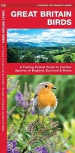 Great Britain Birds: A Folding Pocket Guide to Familiar Species of England, Scotland & Wales