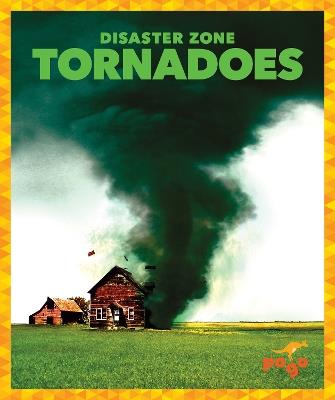 Tornadoes - Cari Meister - cover