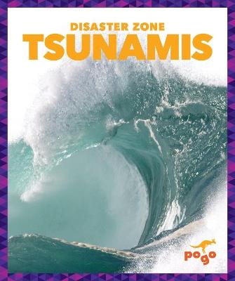 Tsunamis - Cari Meister - cover