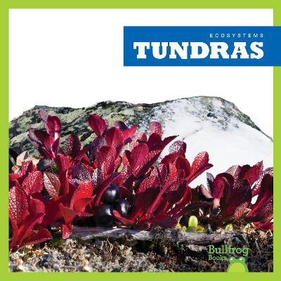 Tundras - Nadia Higgins - cover