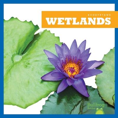 Wetlands - Nadia Higgins - cover