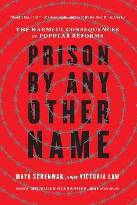 Prison by Any Other Name: The Harmful Consequences of Popular Reforms - Maya Schenwar,Victoria Law - cover