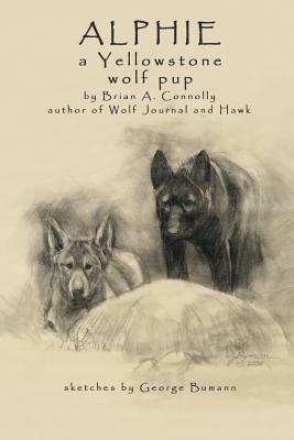 Alphie, a Yellowstone Wolf Pup - Brian A Connolly - cover
