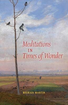Meditations in Times of Wonder - Michael Martin - cover