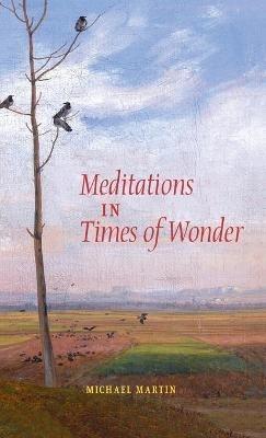 Meditations in Times of Wonder - Michael Martin - cover