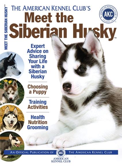 Meet the Siberian Husky