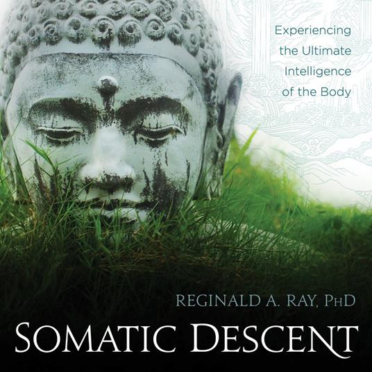 Somatic Descent