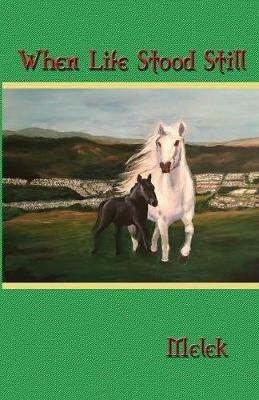 When Life Stood Still - Melek - cover