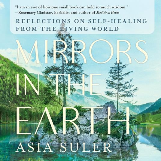 Mirrors in the Earth