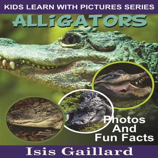 Alligators