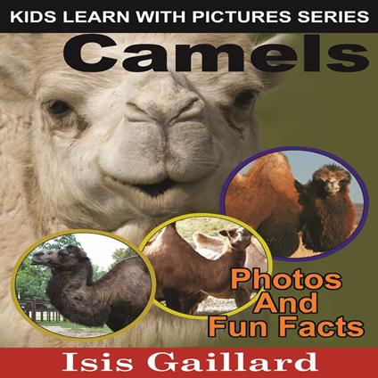 Camels