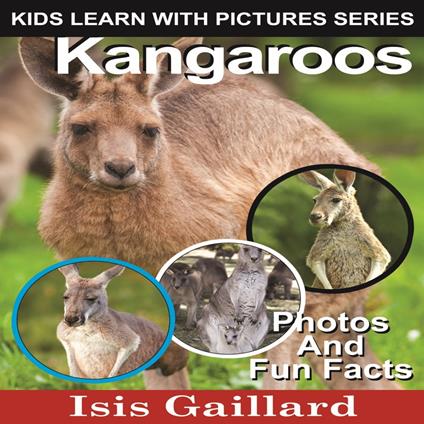 Kangaroos
