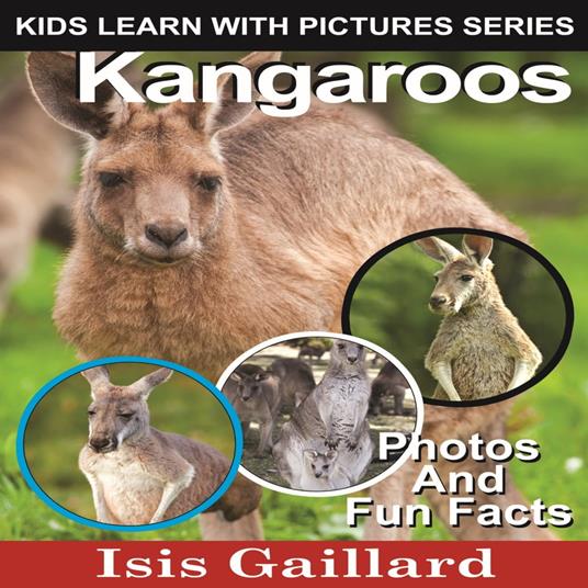 Kangaroos