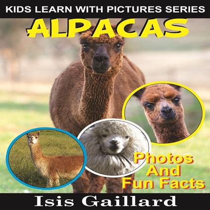 Alpacas