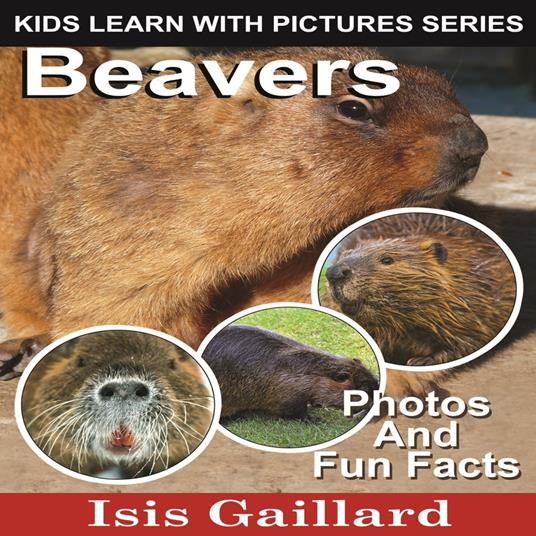 Beavers