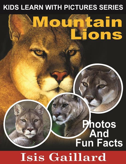 Mountain Lions Photos and Fun Facts for Kids