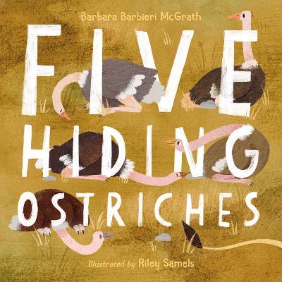 Five Hiding Ostriches - Barbara Barbieri McGrath,Riley Samel - cover