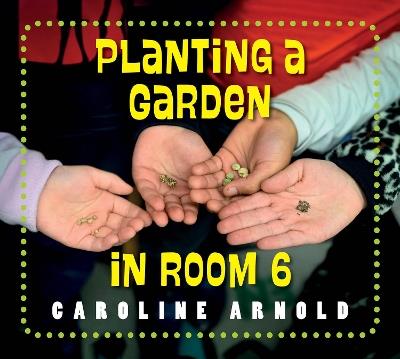 Planting a Garden in Room 6: From Seeds to Salad - Caroline Arnold - cover