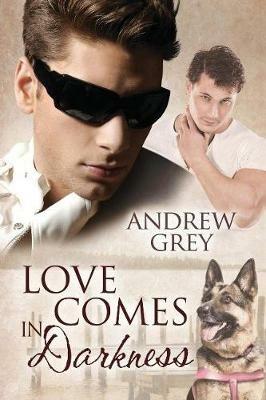 Love Comes in Darkness - Andrew Grey - cover