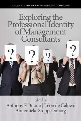Exploring the Professional Identity of Management Consultants - cover