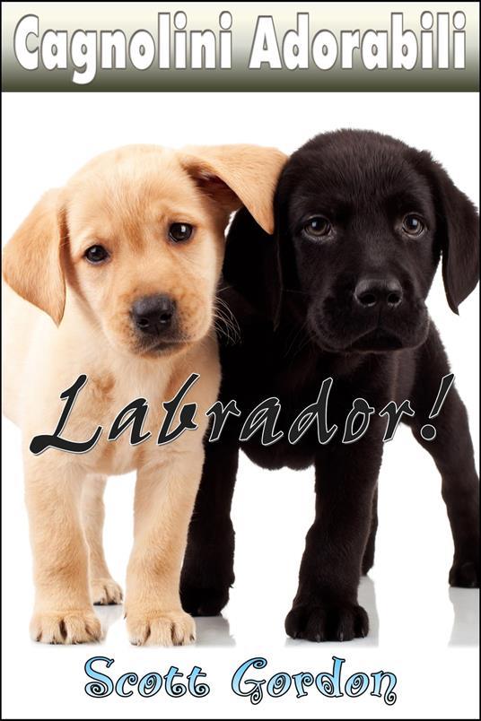 Cagnolini Adorabili: I Labrador - Gordon Scott - ebook