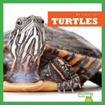 Turtles