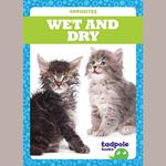 Wet and Dry
