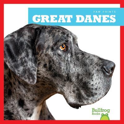Great Danes - Nadia Higgins - cover