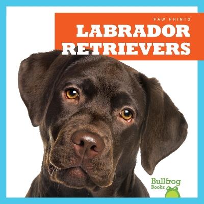 Labrador Retrievers - Jenna Lee Gleisner - cover
