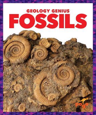 Fossils - Rebecca Pettiford - cover
