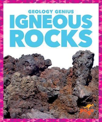 Igneous Rocks - Rebecca Pettiford - cover