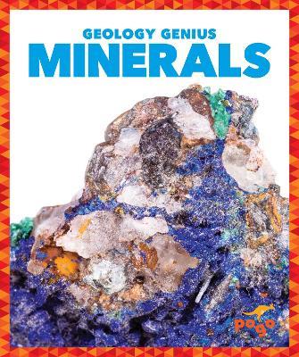 Minerals - Rebecca Pettiford - cover