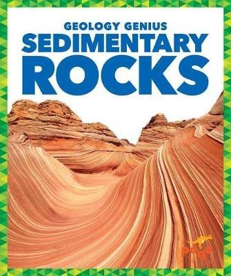 Sedimentary Rocks - Rebecca Pettiford - cover