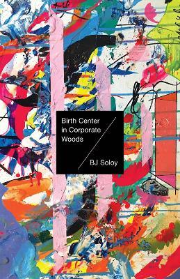 Birth Center in Corporate Woods - Bj Soloy - cover