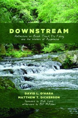 Downstream - David L O'Hara,Matthew T Dickerson - cover