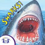 Know-It-Alls! Sharks