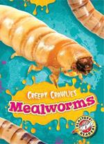Mealworms